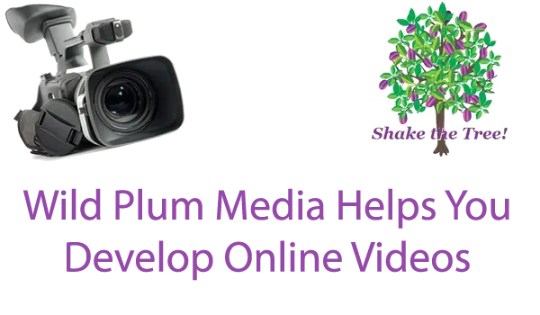 wild plum media video solutions